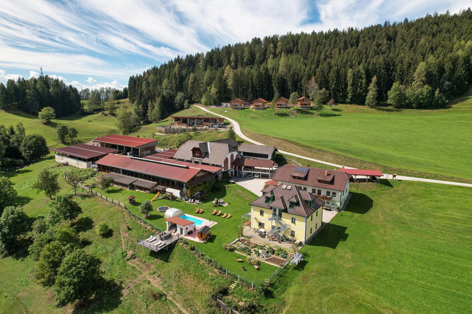 Erlebnisbauernhof Steinerhof In Kaernten Liebenfels Ngoại thất bức ảnh