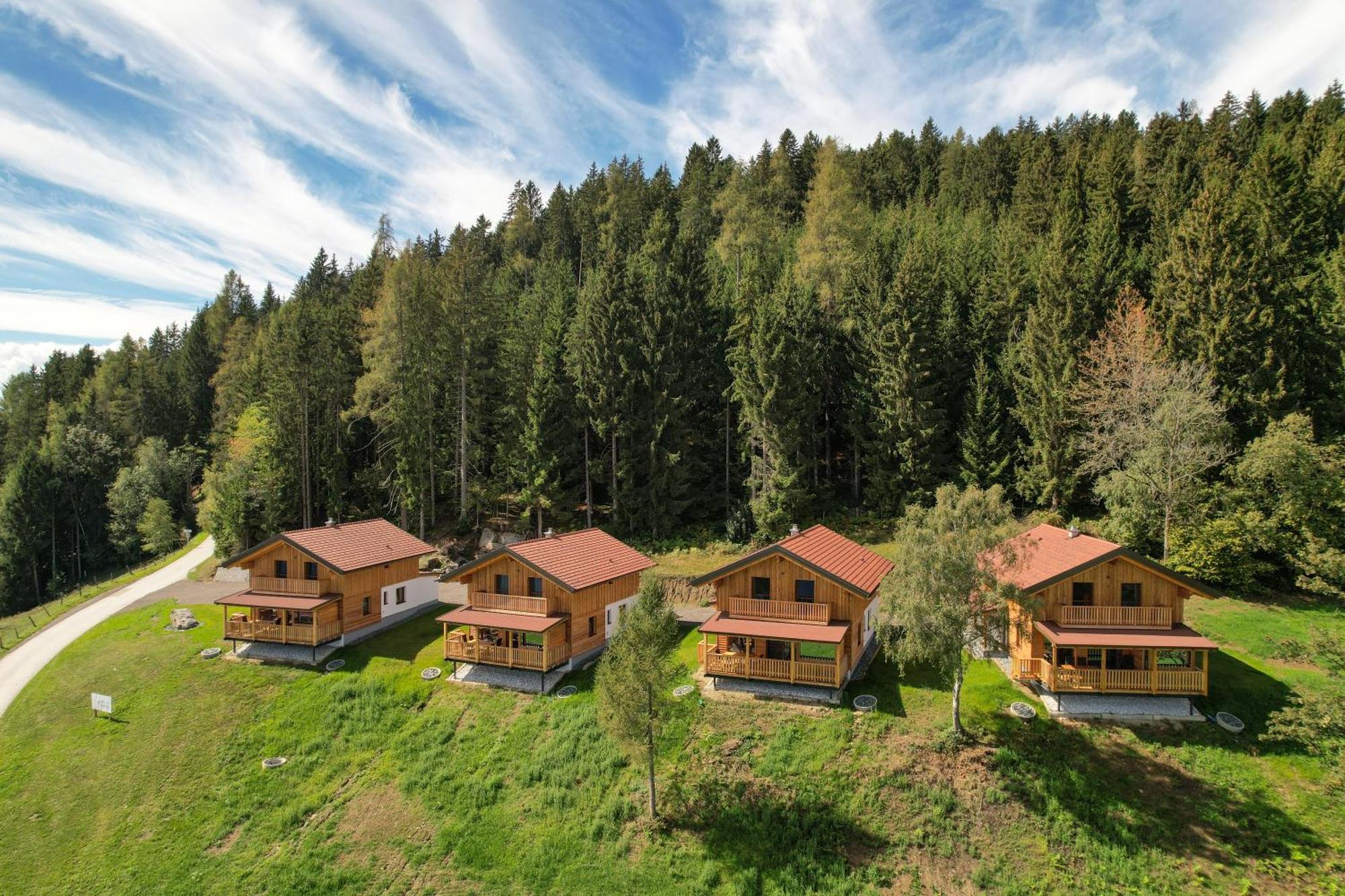 Erlebnisbauernhof Steinerhof In Kaernten Liebenfels Ngoại thất bức ảnh